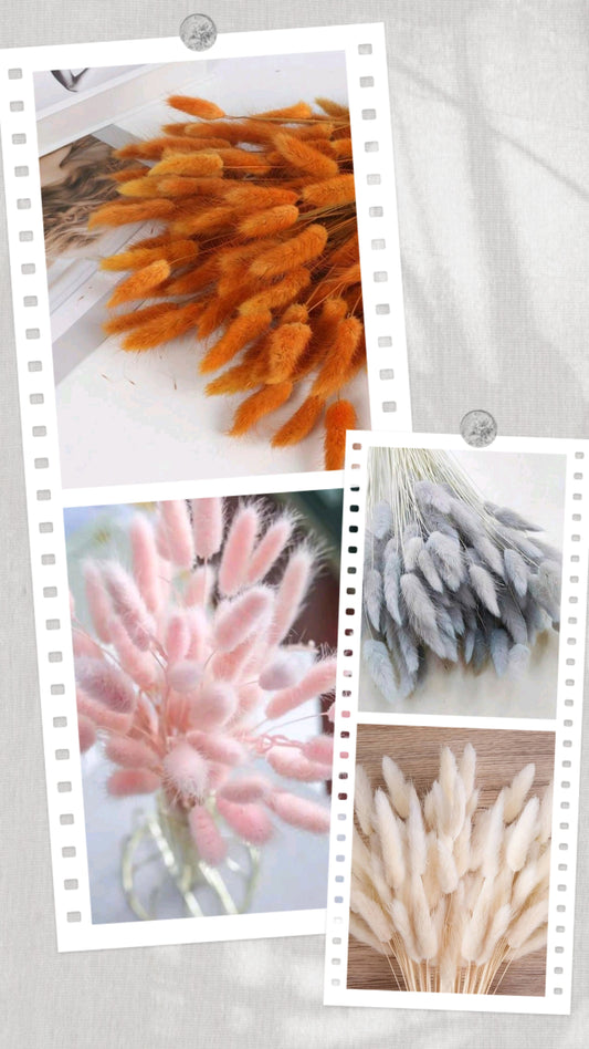 Fleurs séchées,Ornement bohème