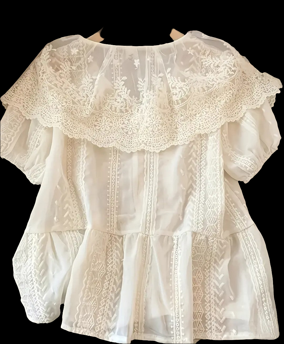 Blouse brodée col volant manches courtes" Met en avant la combinaison spécifique de caractéristiques.